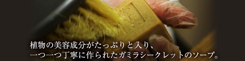 ���e�t�݂����Ȗ��@�̐Ό��u�K�~���V�[�N���b�g�v���T�C�g